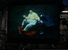 riding mower